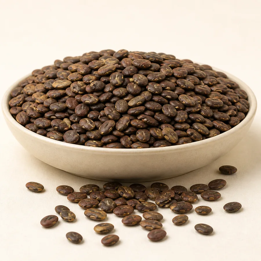 Acacia Seeds