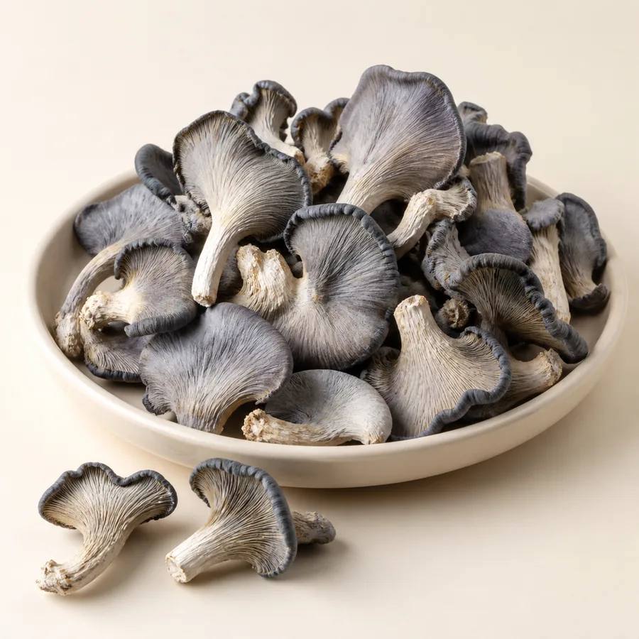 Blue Oyster Mushroom