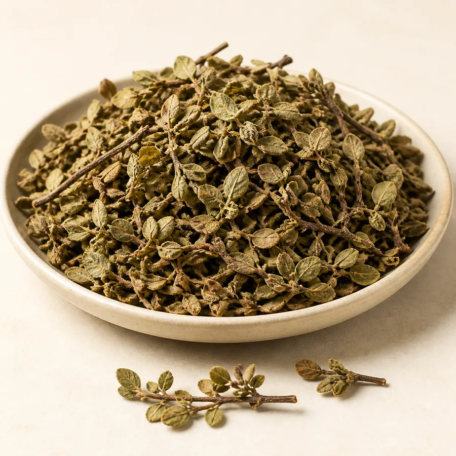 Brahmi