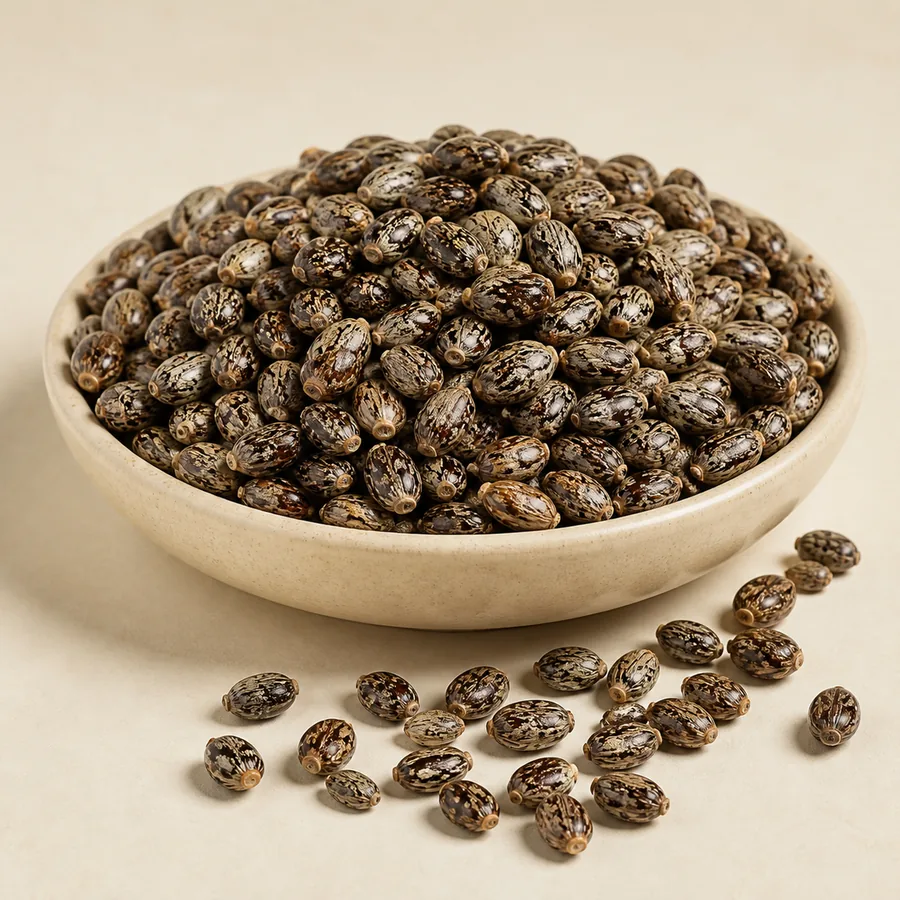 Castor Seeds
