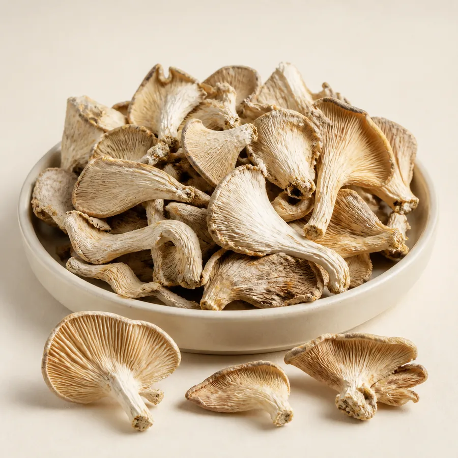 Elm Oyster Mushroom