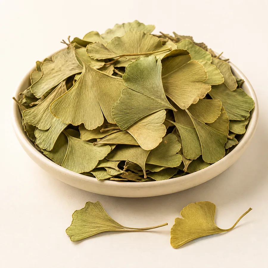 Ginkgo Biloba