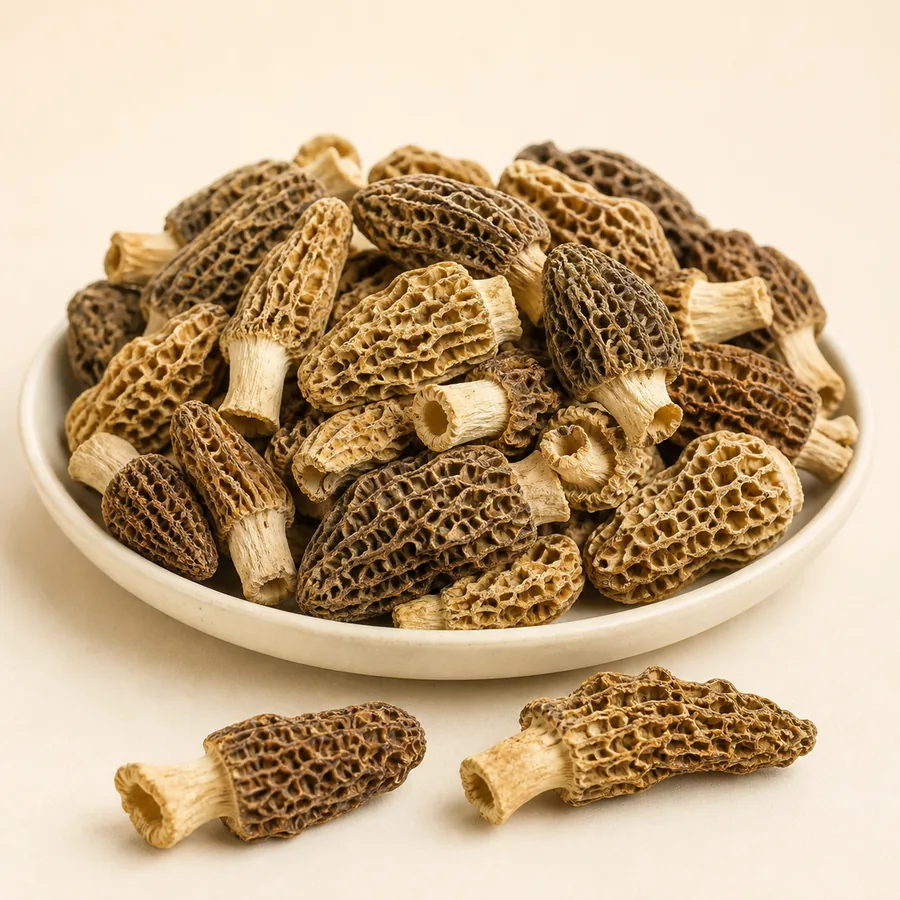 Morel Mushroom