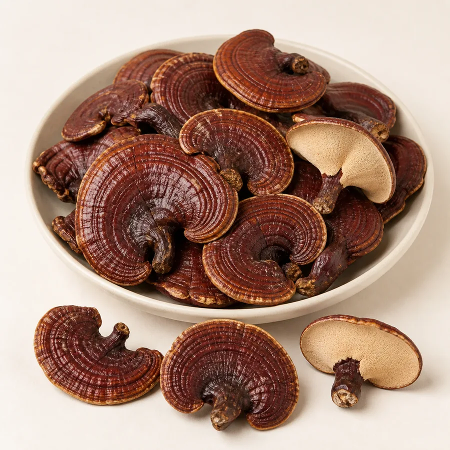 Red Reishi Mushroom