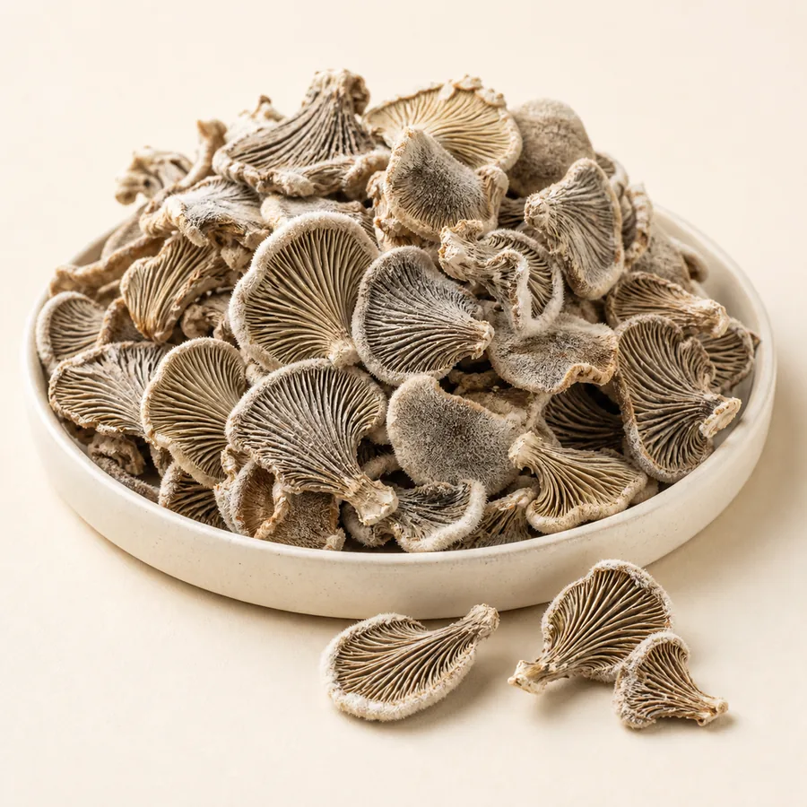 Split Gill Mushroom