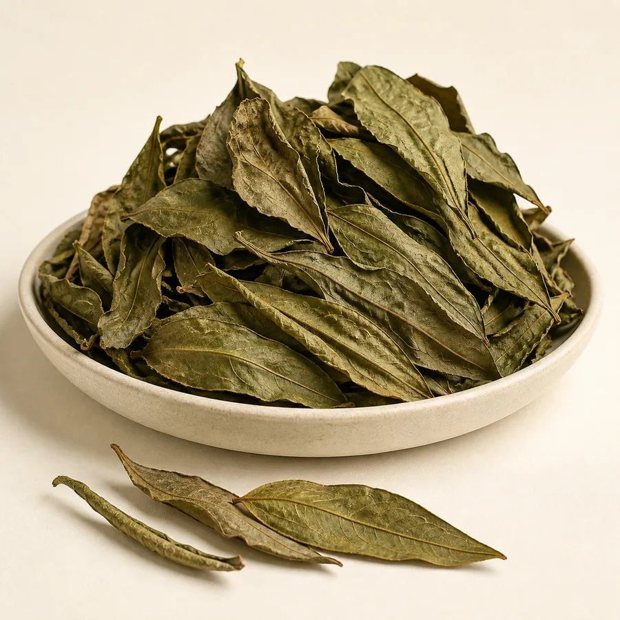 Vasaka